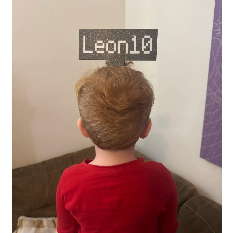 Customization Headband Persona - огляд і ціна Gaming Accessories Name